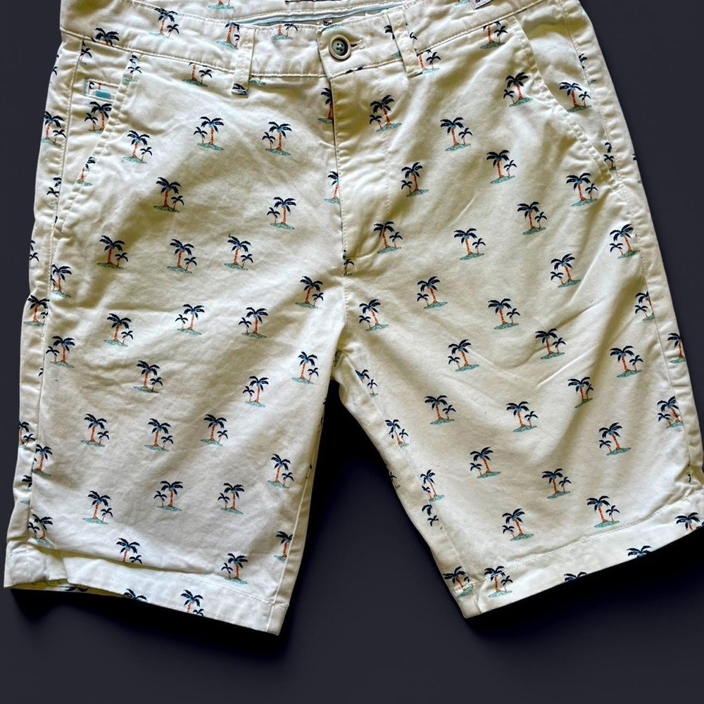 Palm Tree Print Men's Shorts